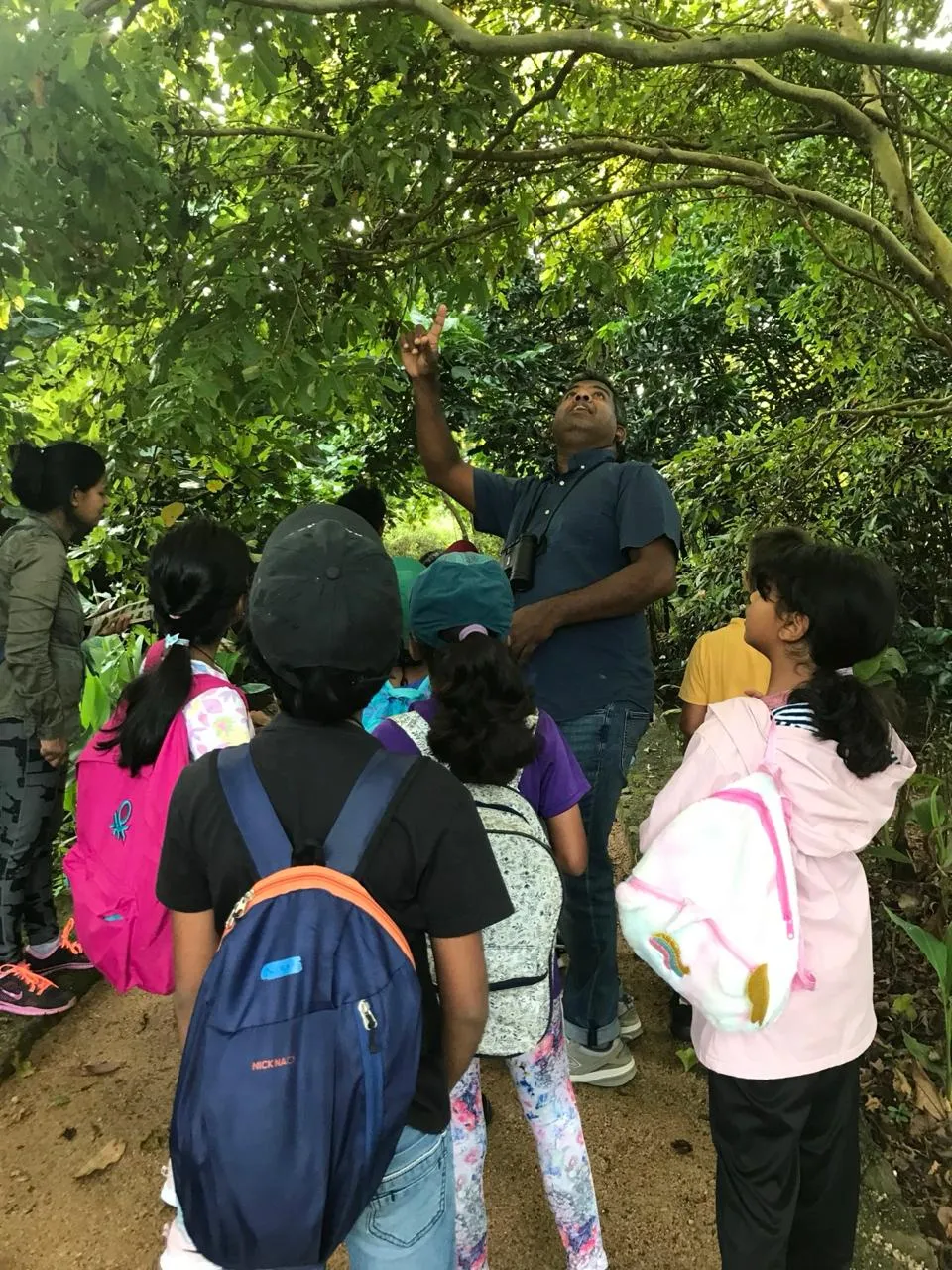 Mr. N pointing up into a tree canopy while a group of children look up